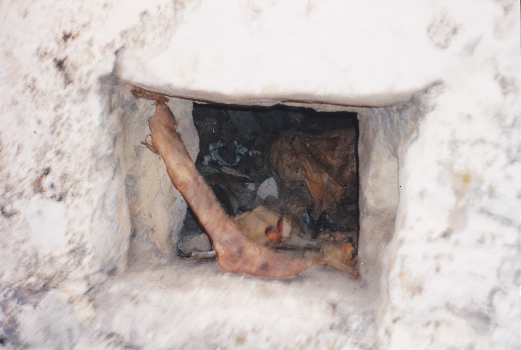 C:UsersMikkoPicturesMP Navigator EX2013_02_25IMG_0001.jpg